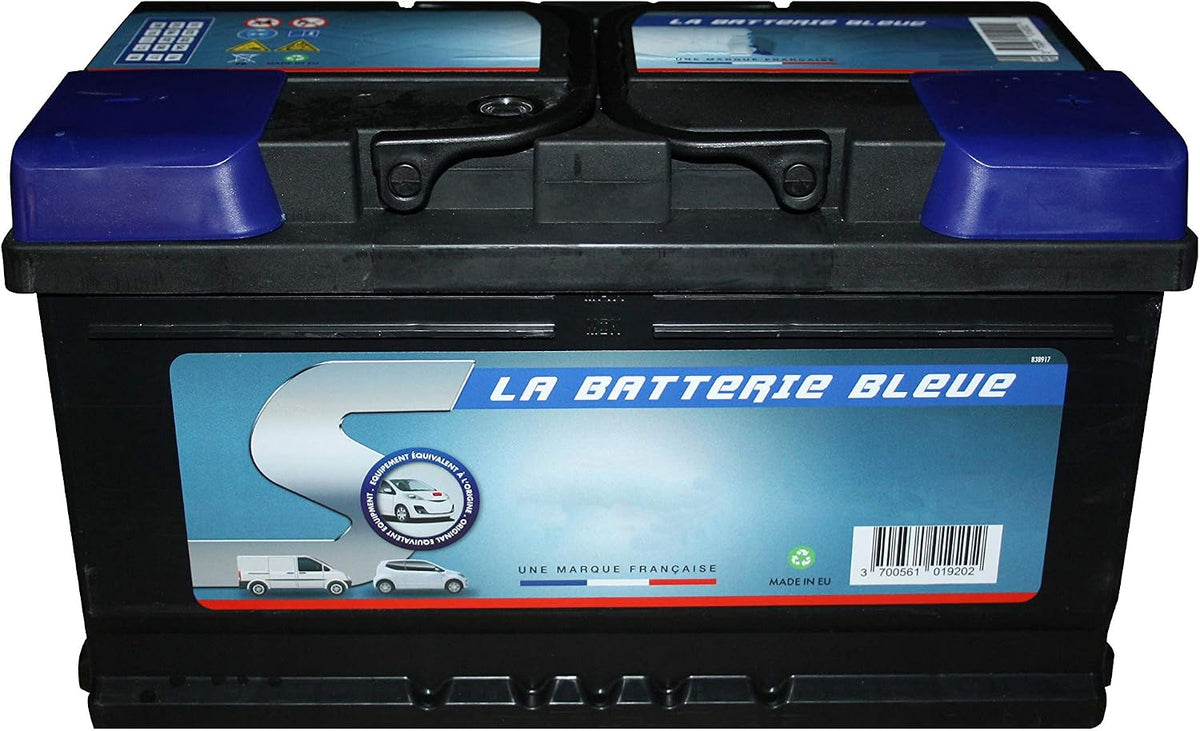 TOPCAR Batteries de voiture, 12 V – 110AH | Noir/Bleu, Batterie 800A (en) - 914